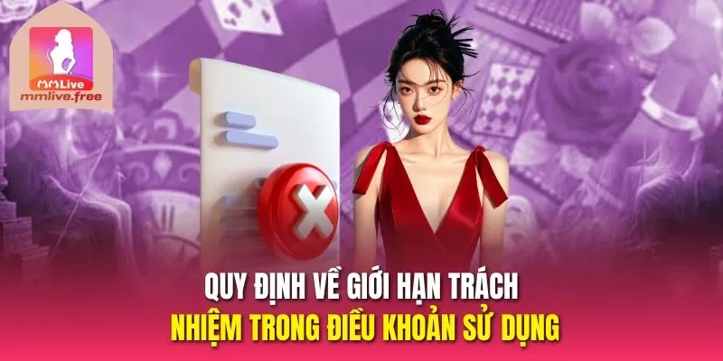 Quy định về giới hạn trách nhiệm trong điều khoản sử dụng